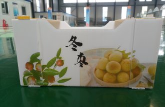 冬枣包装箱