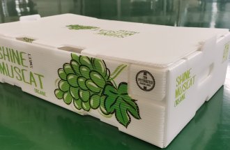 水果包装箱提子包装箱